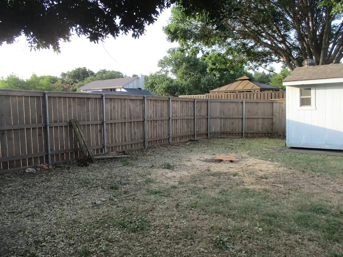 Cleared yard after professional tree removal in Cantua Creek